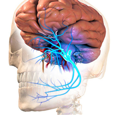 Odontología Neurofocal